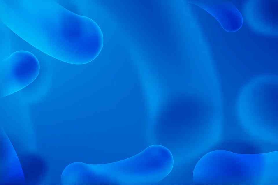 Probiotika & GLP-1: Wie Akkermansia den Stoffwechsel beeinflusst featured image