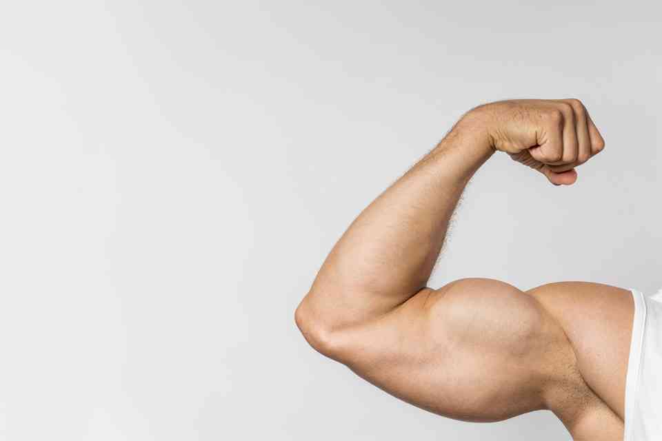 Neue GLP-1- und GIP-Medikamente zielen auf Fett ab und schützen gleichzeitig die Muskeln featured image